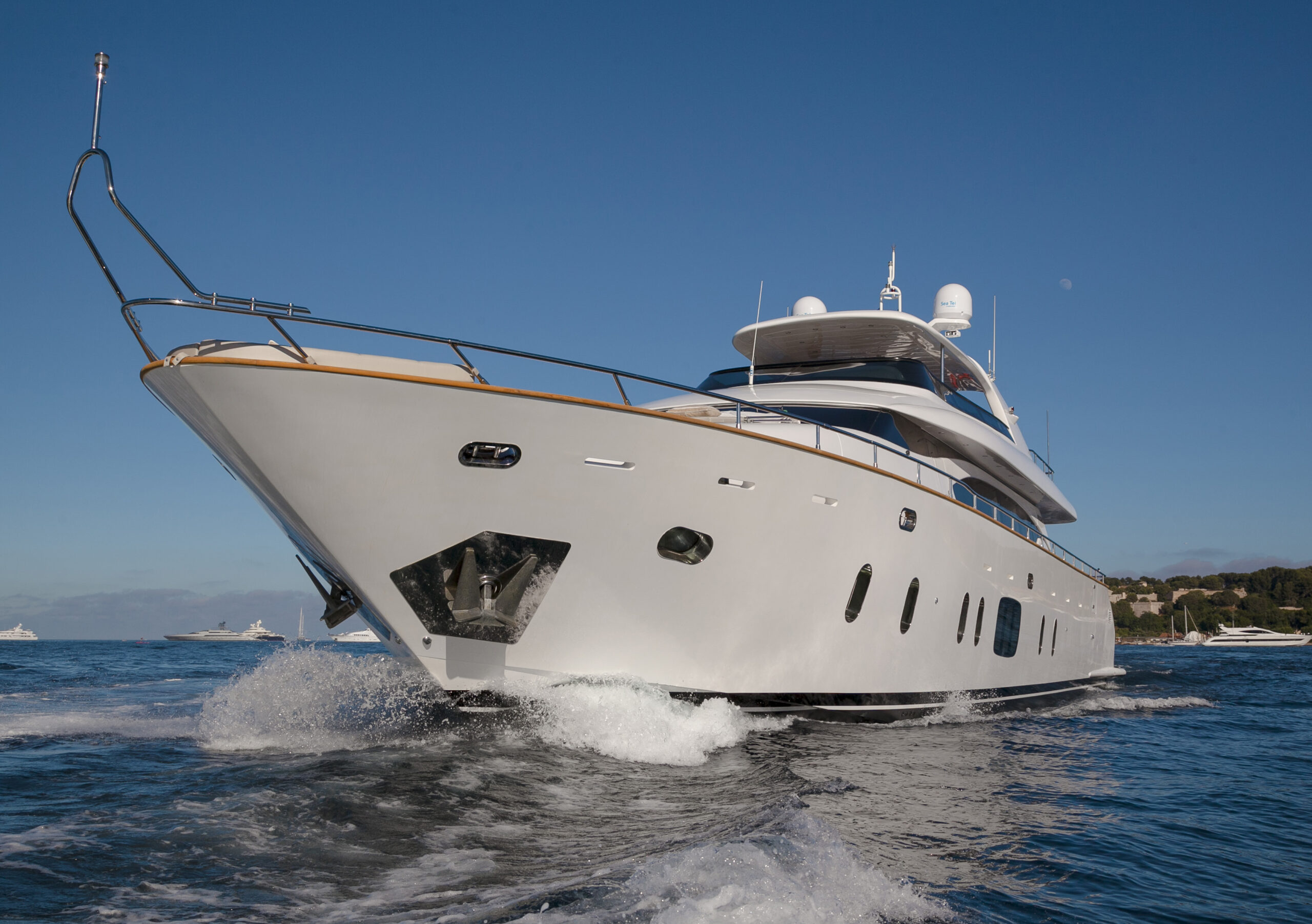 Olga I Maiora | Экстерьер 2